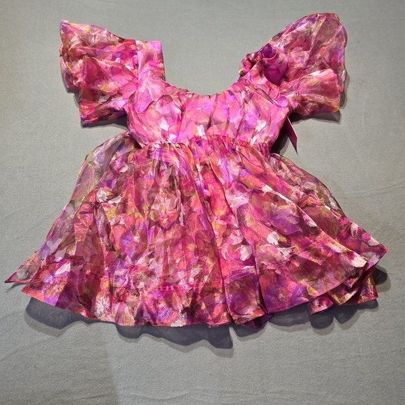 NWT Buddy Love Pink and Purple Floral Dainty Elegant Puff Sleeve Dress M PTP 19 - Picture 3 of 6